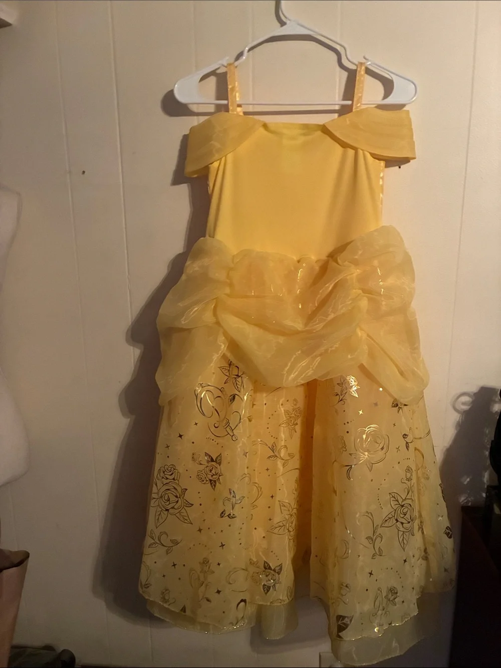 Disney princess dress